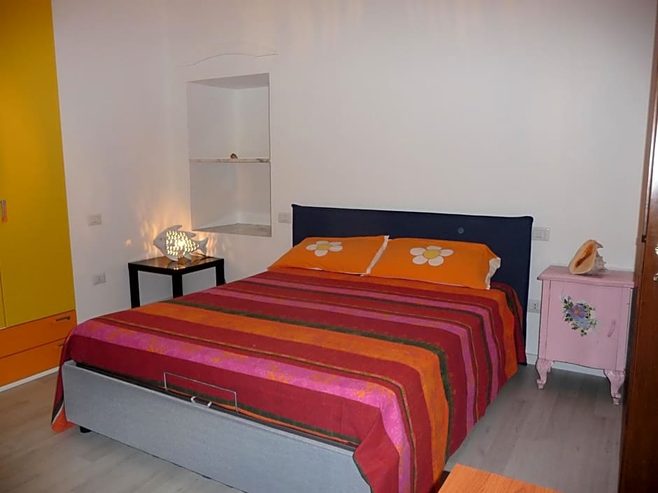 B&B Tredomus