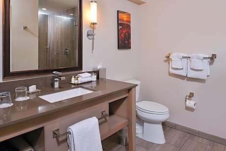 King Suite: City View