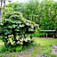 Villa Sunshine / Slunečna Vila