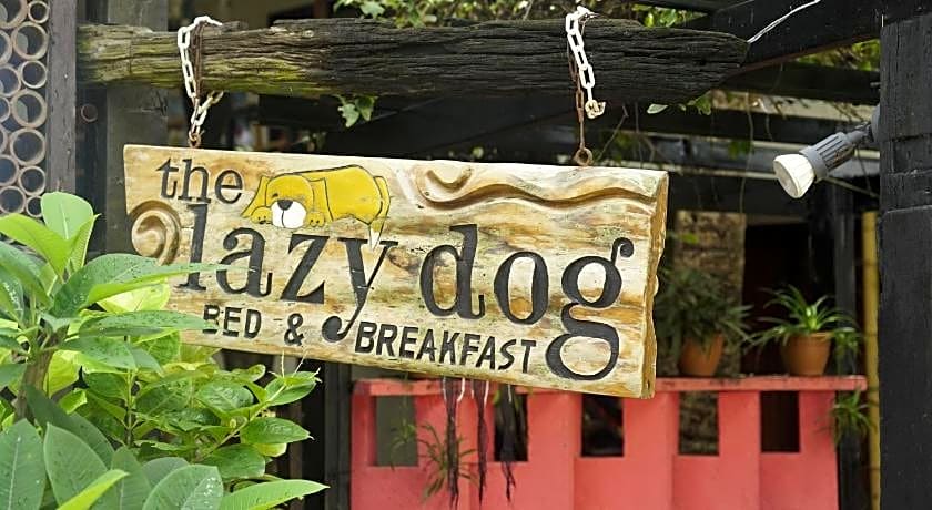 The Lazy Dog Bed & Breakfast