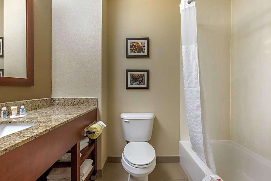 Comfort Suites Johnson City near University