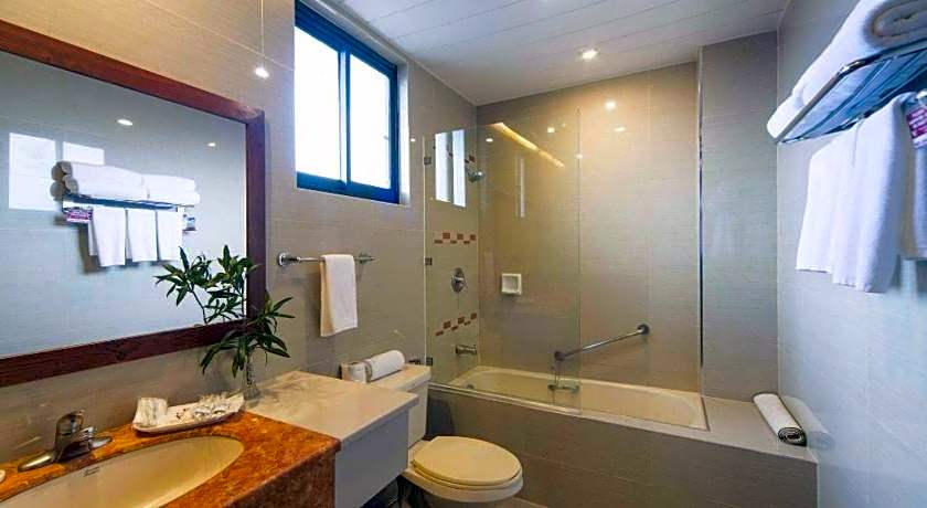 Hotel Veniz