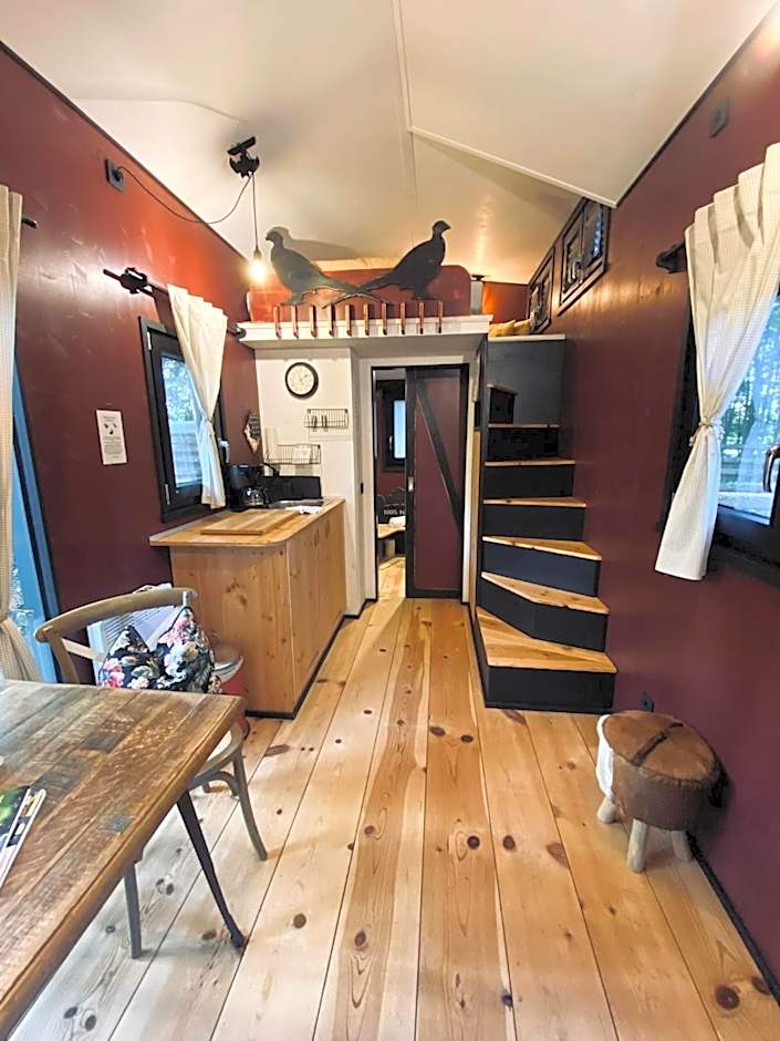 Tiny House Bigge im PIER9 Tiny House Hotel