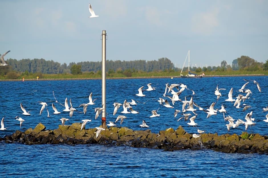 B&B Logeren bij de burgemeester
