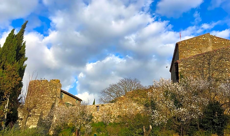 Château de Pieusse