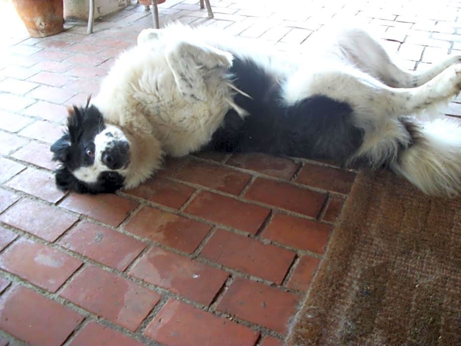 Poderi di Tragliatella