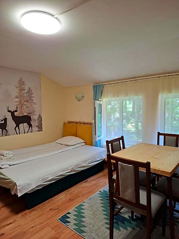Villa Sveti Dimitar