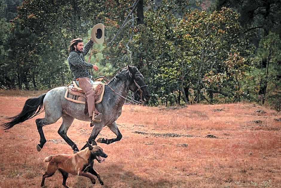 Rancho con Caballos El Reencuentro