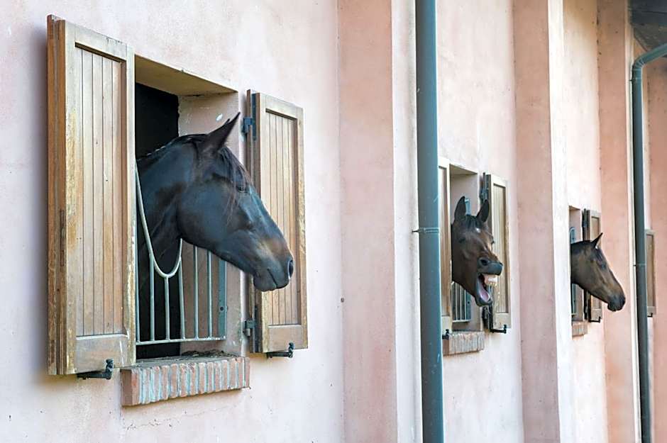 San Giacomo Horses & Agriturismo