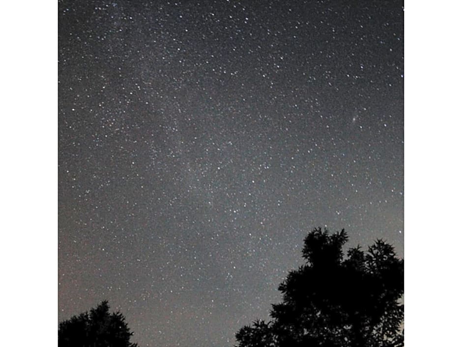 Kasuga no mori - Vacation STAY 80247v