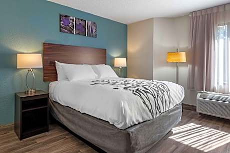 1 Queen Bed, Nonsmoking, Accessible