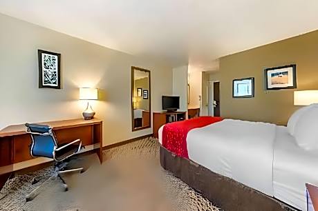 1 bedroom Suite