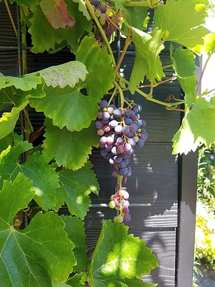 B&B WELKOM Zierikzee