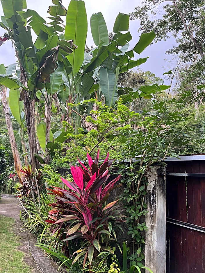 Balian Bliss Retreat Bungalow & Villas