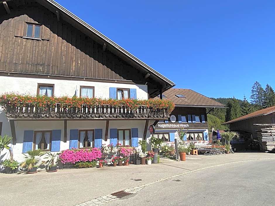 Nagelfluhhaus Hirsch
