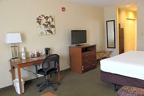 1 King Bed, Efficiency, Suite, Nonsmoking