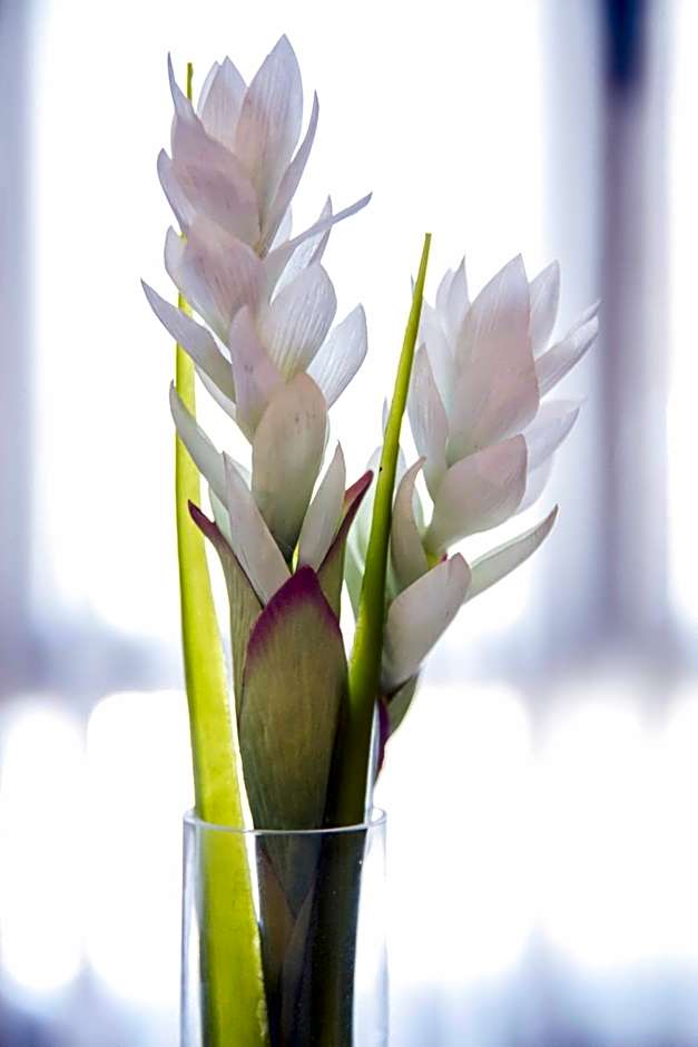 Alda Casa De Los Reyes