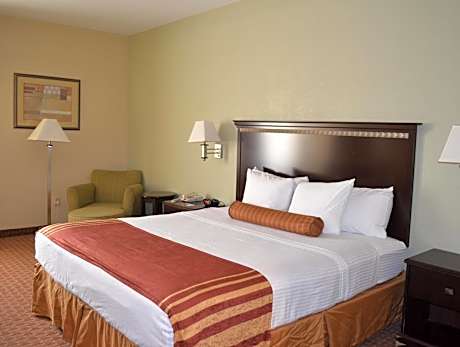 1 Bedroom King Suite