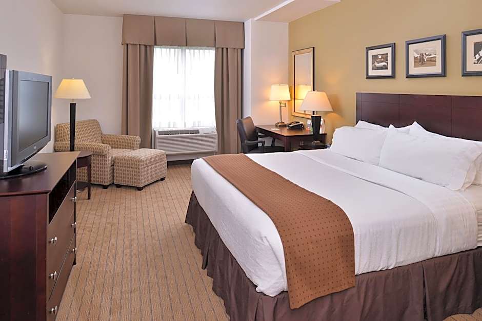 Holiday Inn Madison at The American Center By IHG