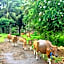 Lutwala Bungalows and Private Villa