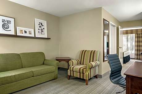 One-Bedroom King Suite