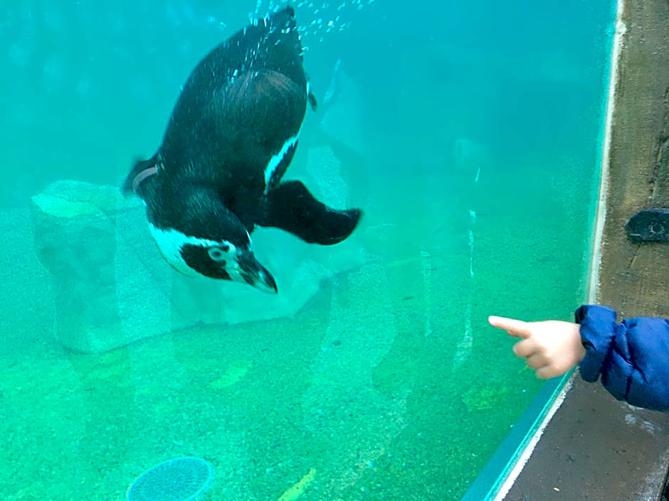 Domaine des Bois Argentés