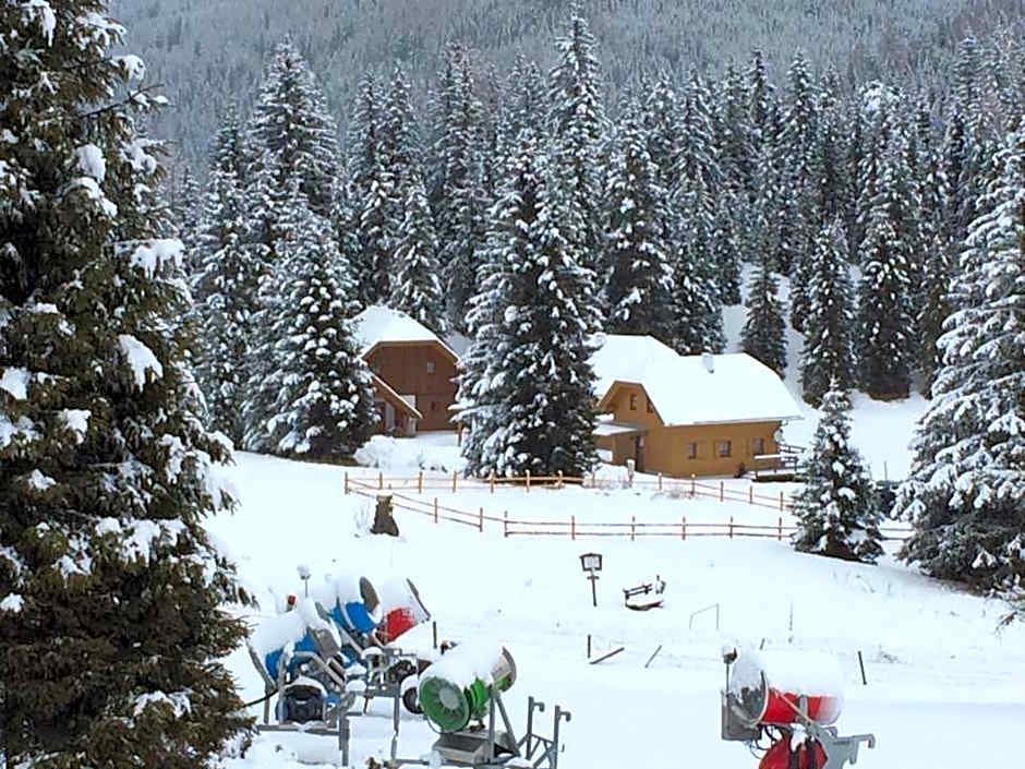 Almhaus & Almchalet Flattnitz