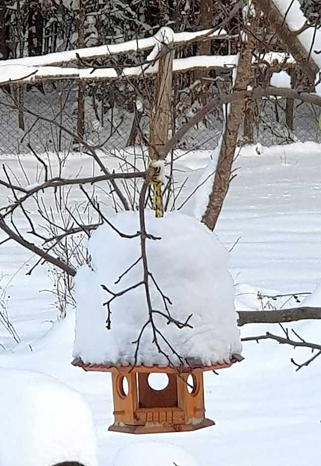 Białowieska Leśniczówka "U Jasia i Małgosi"