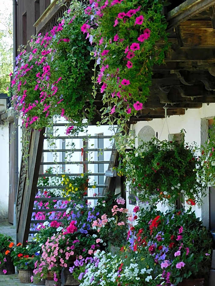 Der Blankhof "Back to Roots"