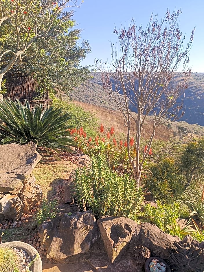 Leopards and Louries Bush Lodge