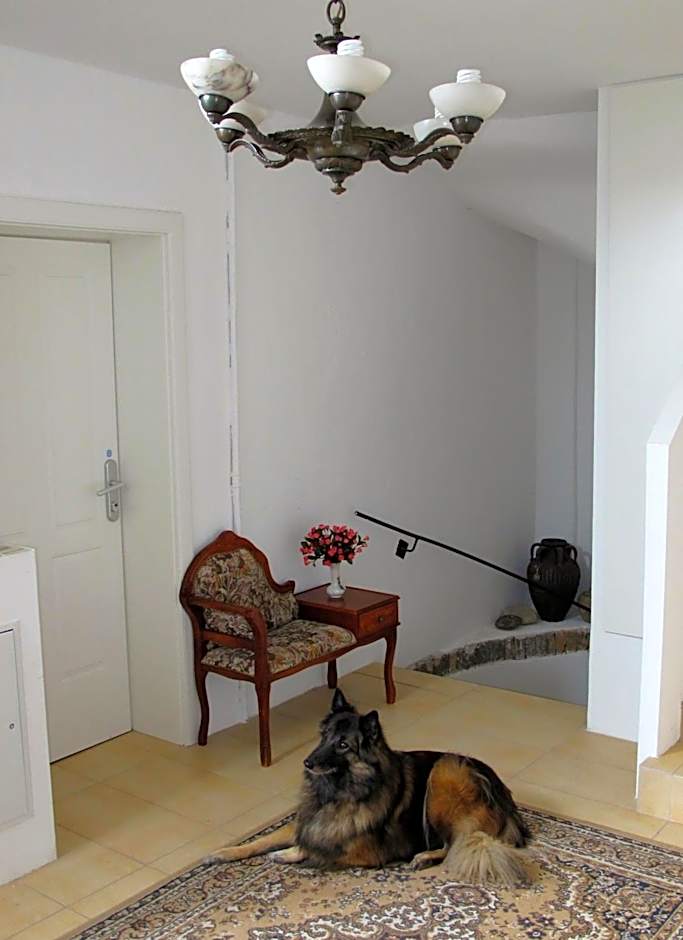 Old Vienna Apartments