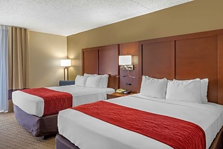 Comfort Inn & Suites Rochelle - DeKalb