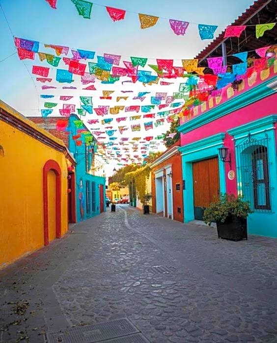 Los Nardos Hostel