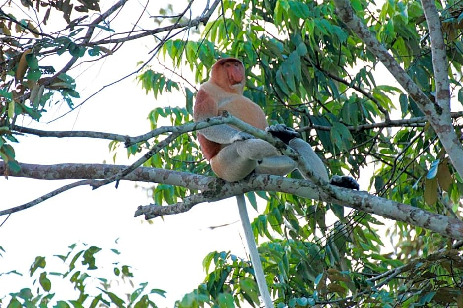 Four Points By Sheraton Sandakan
