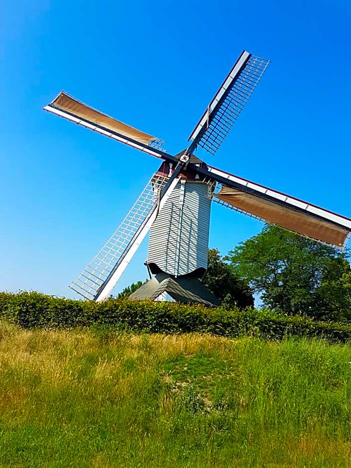 Vakantiepark Camping de Peelpoort