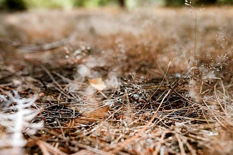 Tiny Stay - Ecolodge