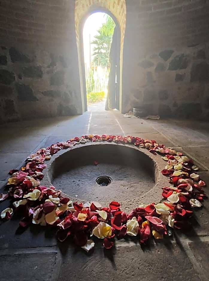 Hotel Boutique Camino Del Bosque