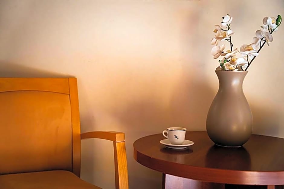 PARNIS PALACE Hotel Suites
