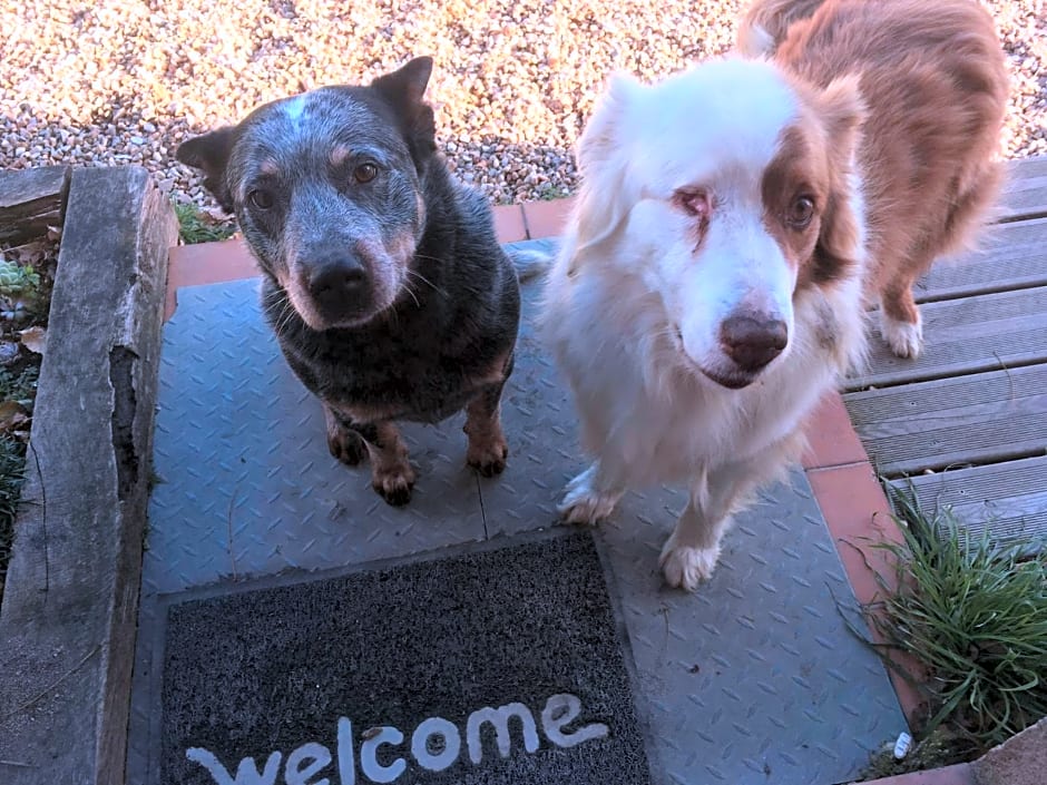 Chambres d hôte à la ferme des Buttons, chambre Iris