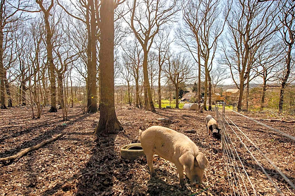Oakside Lodge Guest House