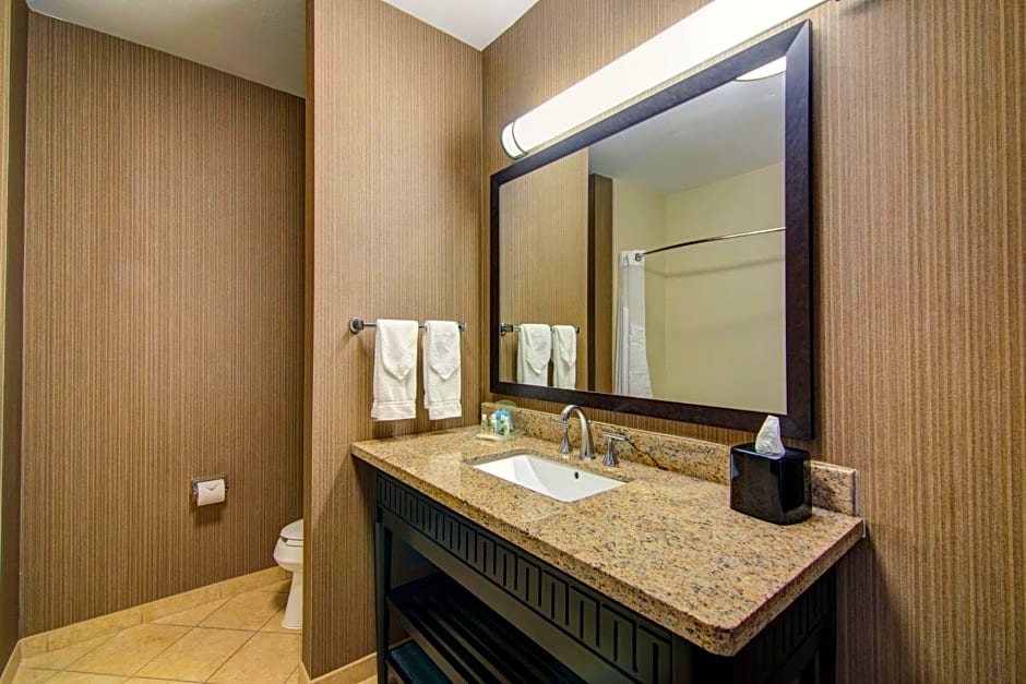 Holiday Inn Arlington Northeast By IHG