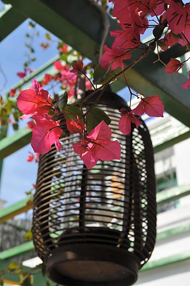 Symi Garden Studios