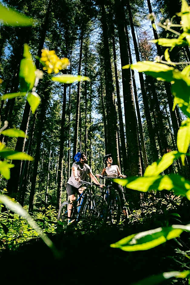 La Piazza di San Donato