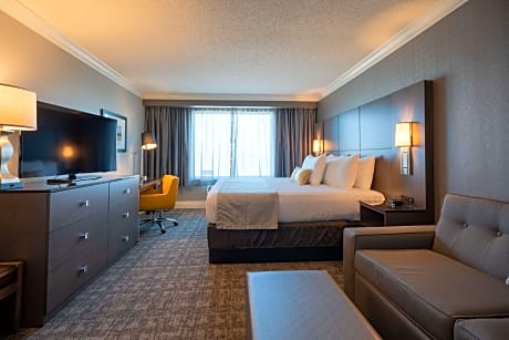 Accessible - 1 Queen, Mobility Accessible, Bathtub, Non-Smoking, Full Breakfast