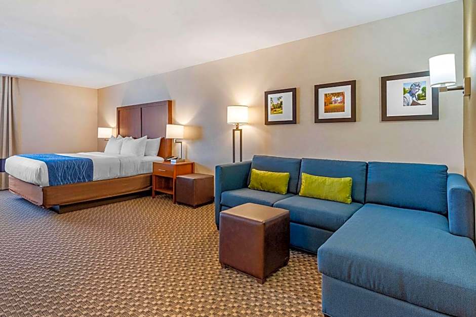 Comfort Inn & Suites near Route 66