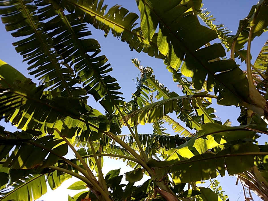 Hotel Villa Angelica