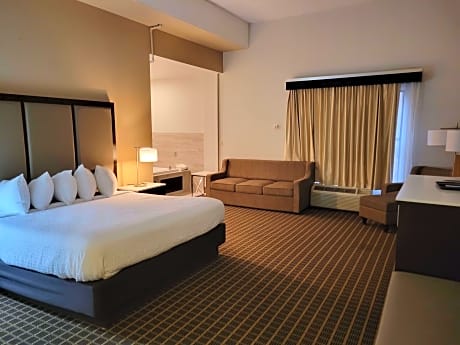 Suite-1 King Bed Non-Smoking Jacuzzi Microwave And Refrigerator Wi-Fi Full Breakfast