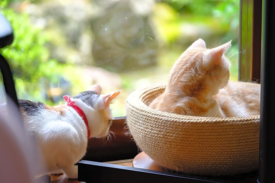 Yufuin Waraneko no Yado