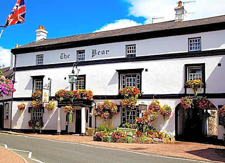 Bear Crickhowell