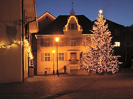 Hotel Gasthof zum Ochsen